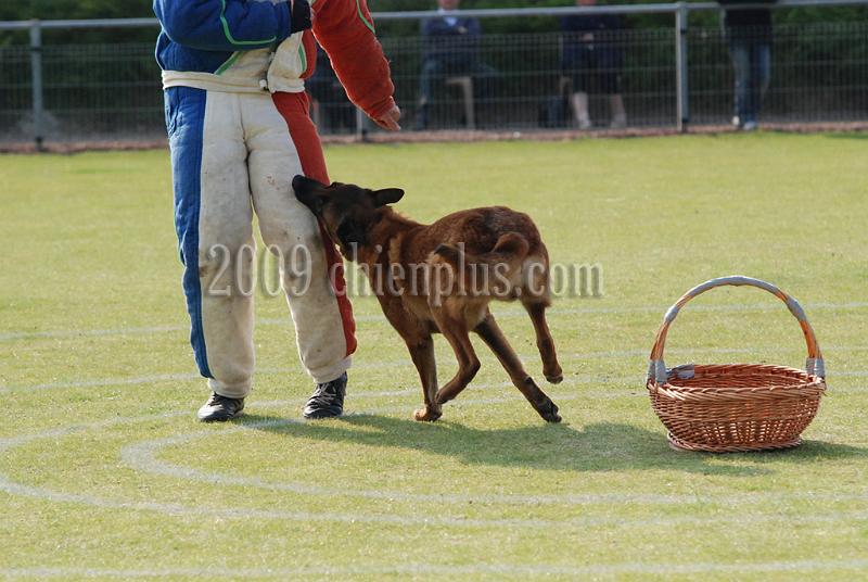 3 EME SELECTIF 2009 GRANDE SYNTHE 720.jpg
